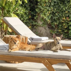 Conjunto De 2 Tumbonas De Jardín De Madera Clara ATRANI -Tienda Barata Lounge Sol 9490eb4b5f42fd258d0e19a45e0ae7f4a48af0ef 9c73ad47be9b4720afb7df1e195d4921